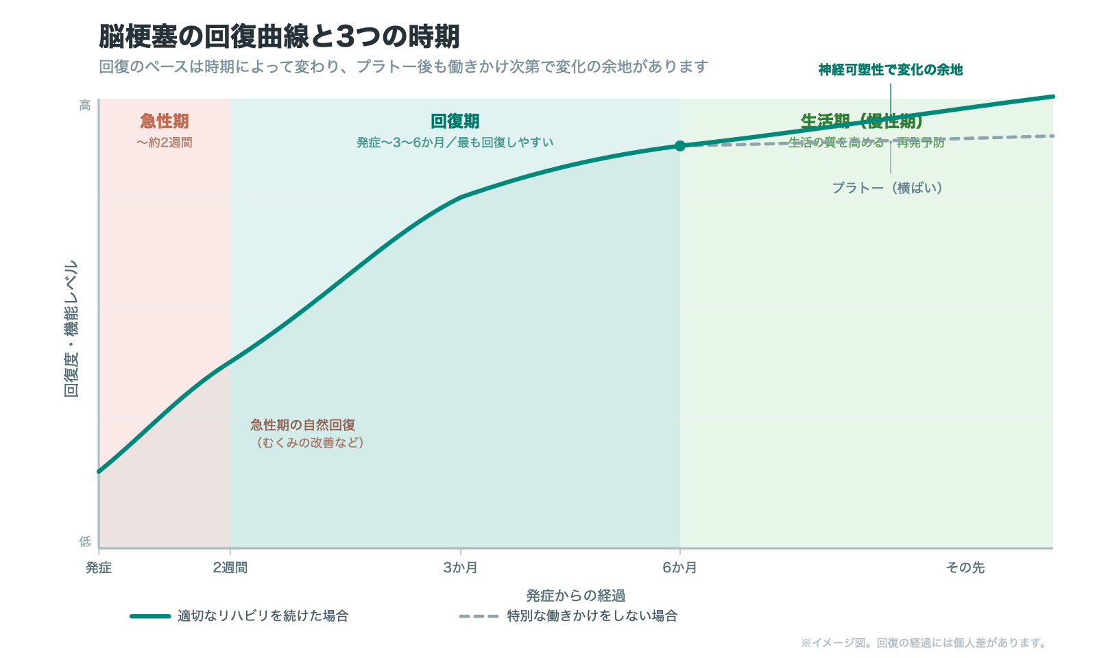 脳梗塞の回復曲線と急性期・回復期・生活期の変化